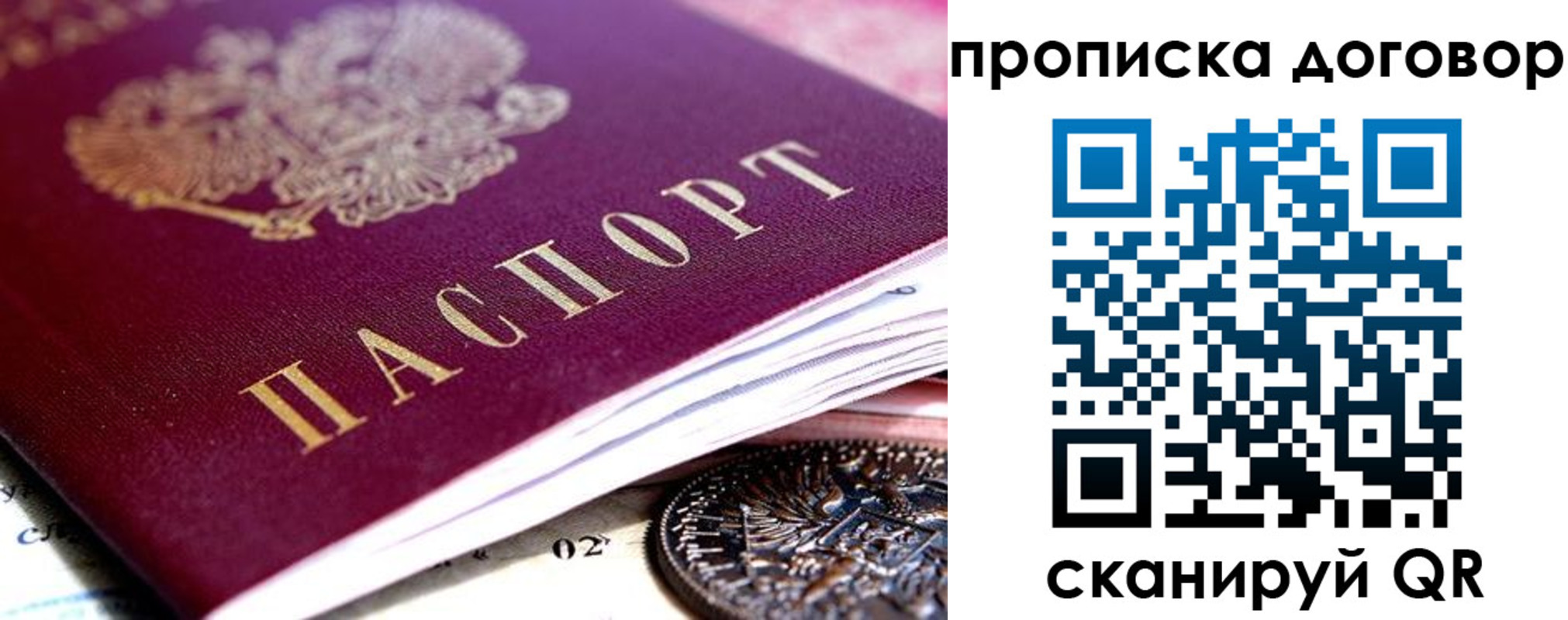 прописка иностранных граждан в Мончегорске